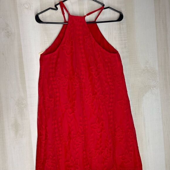Altar’d State red sleeveless spaghetti strap lined dress, size small - Picture 8 of 16